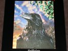 THE STRANGLERS, The Raven, lenticular cover with banned inner sleeve,  vinyl lp