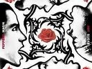 LP RED HOT CHILI PEPPER 