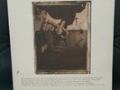 PIXIES Vinyl  LP 