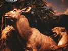 Interpol - Our Love To Admire (Vinyl LP - 2020 - EU - Original)