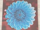 Depeche Mode - When Love is Enough Early Demos Vinyl