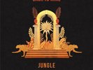 Jungle Back to Mine 6.3oz 2LP Vinyl 2019 BACKLP030