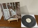 Violent Femmes  - Violent Femmes LP [VG+/VG(+) , 1982 Canada]