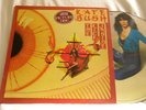 KATE BUSH The Kick Inside 1979 PICTURE DISC vinyl 2nd pressing UK LP