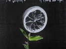 A Flourish and a Spoil by The Districts (Vinyl, Feb-2015, Fat Possum)