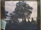 J. Cole - 4 Your Eyez Only (Vinyl, 2016, Dreamville) NEW SEALED RARE Black Vinyl