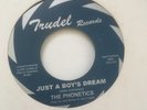 NORTHERN SOUL-THE PHONETICS-JUST A BOY'S DREAM- USA TRUDEL-45