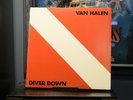 VAN HALEN - Diver Down 1982 BSK 3677 Original Vinyl LP First Press NM