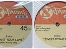 Tangoterje Chic I Want Your Love / Claudia Barry Sweet Dynamite Rare 12