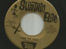 GARAGE ROCK bw DOOWOP TEEN- TIGERS (danny peil) I SEE  - HEAR- 1965 SUMTHIN ELSE