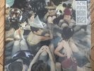 Panda Bear ?– Person Pitch - ANIMAL COLLECTIVE PAW -014 *FIRST PRESSING – SEALED
