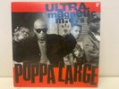 Ultramagnetic MC's Poppa Large 12