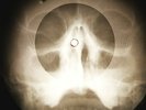 Johnny Cash - I Just Thought Youd Like To Know X-RAY OF USSR BONE RECORD
