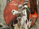 SUPER RARE ORIGINAL The Used picture vinyl. 