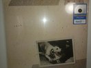 FLEETWOOD MAC TUSK LP SILVER VINYL WALMART EXCLUSIVE 2 LP