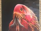 Oh Sees - Clearly Invisible - 12