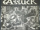 Assuck Misery Index Vinyl (pollute034) lp