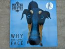 BIG COUNTRY Why the Long Face vinyl LP 1995 LIMITED #1216 of 3000