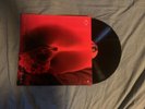 tove lo blue lips  VINYL  Sunshine kitty lady wood note this Does SKIP
