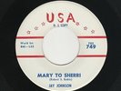 '63 Midwest Teen JAY JOHNSON Mary To Sherri/Karen USA 749 M- DJ HEAR