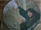 Kate Bush II Interview LP Picture Disc Vinyl Record