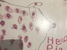The Levellers: Hello Pig,