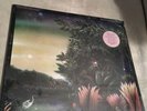Fleetwood Mac “Tango in the Night” Vinyl LP New Sealed Original 1987 Pressing