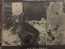 NIRVANA - Bleach SP 34 Marbled Bottle Green Vinyl Near Mint Condition.
