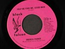 BRENDA PARKER: help me find mr. good man / instro BLACK FALCON 7