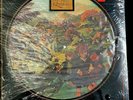 The Lord Of The Rings 1978 Vinyl Double 2xLP Collector Limited Picture Discs New