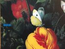 Morphine - Good 2xLP Limited Numbered & Expanded Edition Vinyl Album NEW RECORD