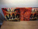 W.A.S.P. 'Babylon' LTD Edition LP Picture Disc UK '09 on Demolition V.Rare Wasp