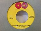The Miracles-You've Really Got A Hold On Me/Happy Landing-Soul-7