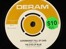 EYES OF BLUE: supermarket full of cans / don't ask me to mend your broken heart