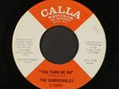 SANDPEBBLES: you turn me on / the garden of eden CALLA 7