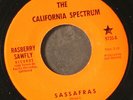 CALIFORNIA SPECTRUM: sassafras / obviously bad RASBERRY SAWFLY  7