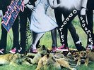 Ariel Pink Odditties Sodomies Vol. 1 [2 Lp] - Vinyl Vinyl LP (New)