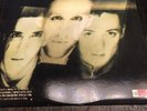 The Wild Swans Bringing Home The Ashes Promo Sire Lp 33 Rpm Vinyl Record #2126