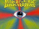 Psychedelic Unknowns Volume 5 LP (black vinyl)