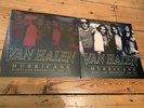 Van Halen: Hurricane, Maryland 1982 quadruple disc LP / NEW