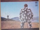 Pink Floyd Delicate Sound Of Thunder double Russian vinyl LP's