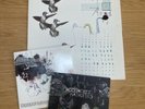 Foals Rare 7” & 12” Vinyl Bundle