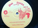 Twinkle Brothers - Faith Can Move Mountain - Reggae Roots 12