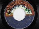 70s Soul 45 GLORIA SCOTT What Am I Gonna Do CASABLANCA HEAR