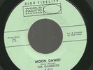 Surf Guitar 45  