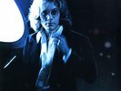 Warren Zevon SELF TITLED 180g SYEOR 2019 New Sealed Vinyl Record LP