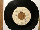 STEVE MANN 45 Diane In The Sunshine / Birth Of A Rainbow - Obscure Real People