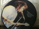 SIOUXSIE AND THE BANSHEES INTERVIEW RARE Limited Vinyl Record Picture Disc 7”