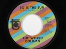 Northern Soul Funk 45 WORLD COLUMN So Is The Sun TOWER VG++ HEAR
