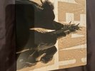 Pearl Jam Ten LP Vinyl Album NM Condition
